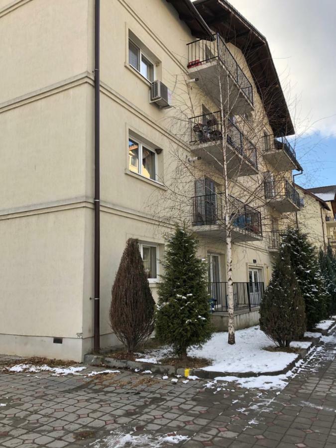 Апартаменты Apartament Antoaneta Рышнов Экстерьер фото